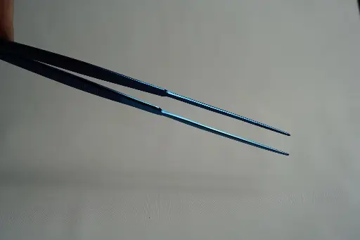 Zeuxippe
